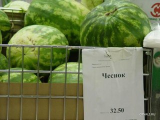 chesnok