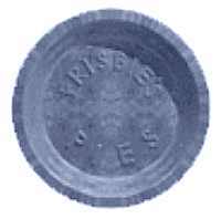 frisbee1