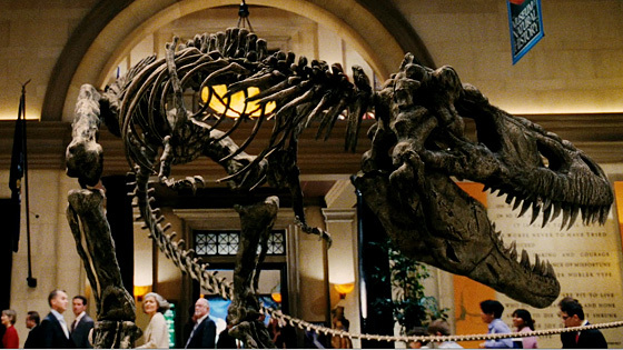night in the museum