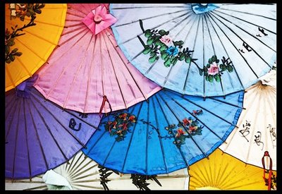 umbrella