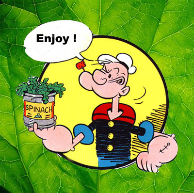 spinach_popeye