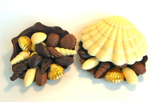 scallop1