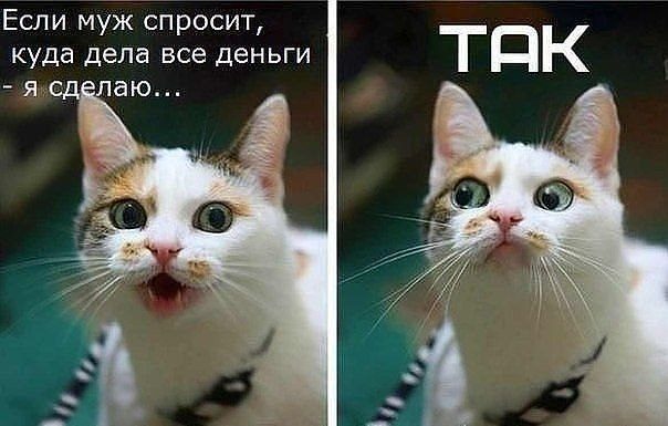 Смешной шопинг