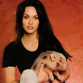 megan
