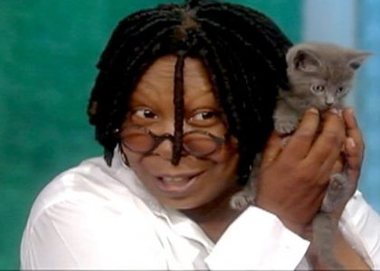 whoopi-goldberg-cat-adopt