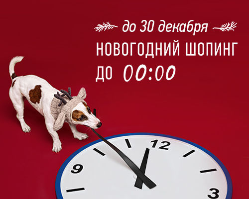 biggest_biggest_нг